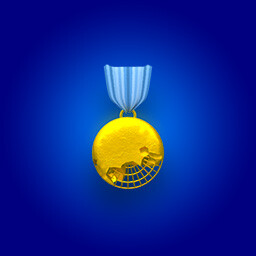 Medal of Extreme Unpreparedness