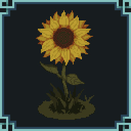 Sunflower!