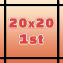 20x20 1st