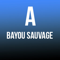 Bayou Sauvage A