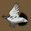 Rock Ptarmigan