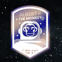 Albert II, the first monkey in space