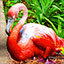 Feeding the Flamingo