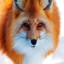 FoxGames