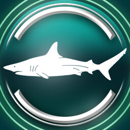 Blacktip shark