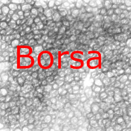 Saved Borsa