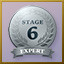 Stage 6 Expert