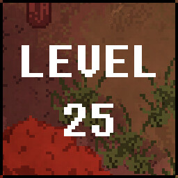 Level 25