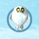 Snowy Owl