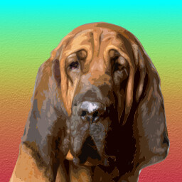 Bloodhound