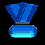 Distinguished Service Medal