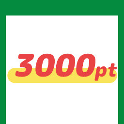 3000