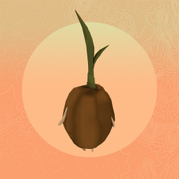 Seed 1 - Coconut Palm - Crops