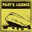 Pilot's License