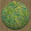 Moss Ball