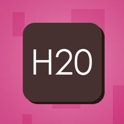 H20