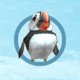 Puffin