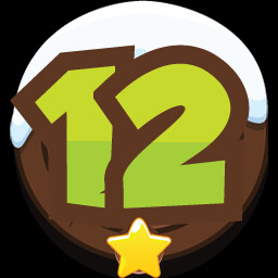 LEVEL 12