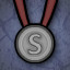 Silver Medal