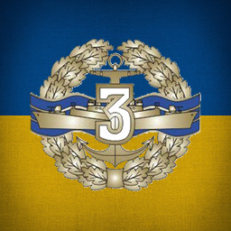 Navy Specialist Badge, 3rd Grade