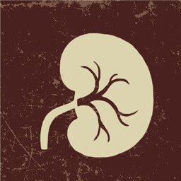 Vanished Kidney