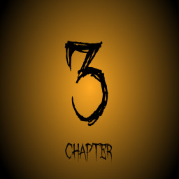 Chapter 3