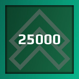 25000