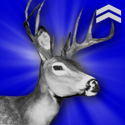 Deer Hunter (Intermediate)