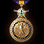 US Navy Distinguished Service Medal with a golden star