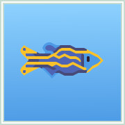 Zebra Fish