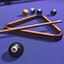 Pool Shark