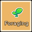 Novice Forager