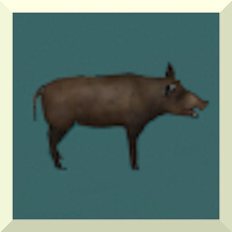 NEW SEE BOAR