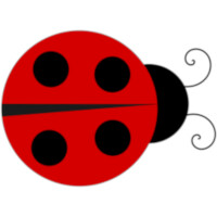 Lady Bug