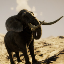 ELEPHANT