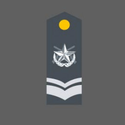 Master Sergeant