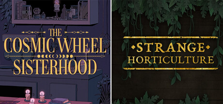 Strange Sisterhood