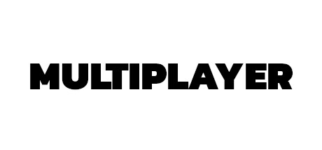 Multiplayer