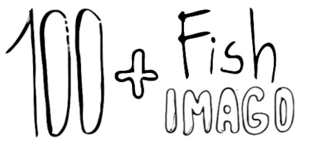 100 hidden cartoon fish + imago