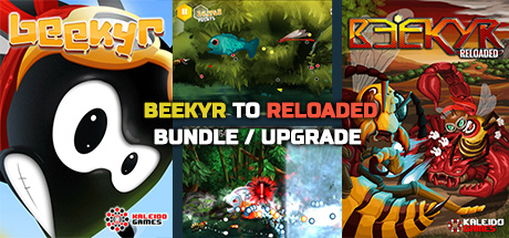 Beekyr to Reloaded Upgrade