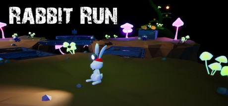 Rabbit Run