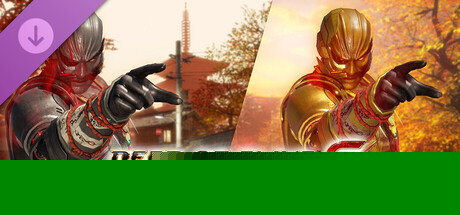 Morphing Ninja Costume - Raidou