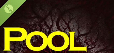POOL Demo