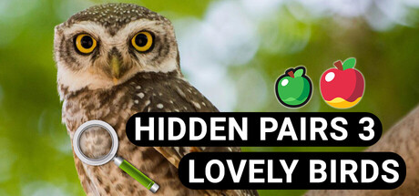 Hidden Pairs 3: Lovely Birds