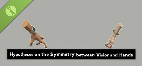 Hypotheses on the Symmetry between Vision and Hands - Demo