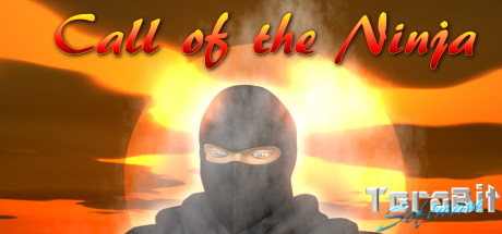 Call of the Ninja!