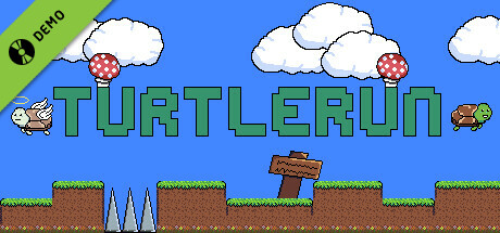 TurtleRun Demo