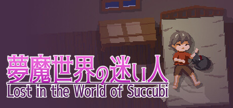 Lost in the World of Succubi