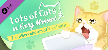 Lots of Cats in Every Moment: The Whereabouts of the Photo