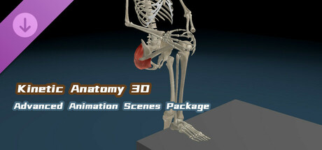 Kinetic Anatomy 3D - Advanced Animation Scenes Package